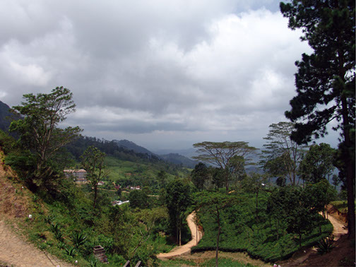 Elkaduwa Estate - Sembuwaththa Lake